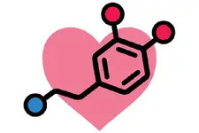Dopamin Özellikleri ve Faydaları Nelerdir?