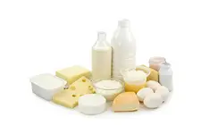 Kalsiyum İçeren Besinler