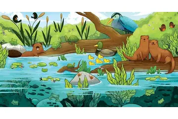 Ekosistem Özellikleri ve Faydaları Nelerdir?