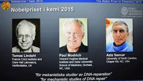 Nobel Kimya Ödülü